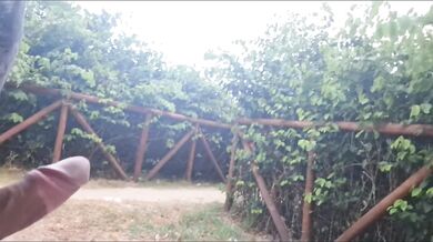 Public masturbation: I show my hard penis to a stranger in the park!