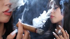 Beautiful Woman Smoking a Cigar