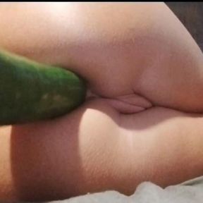 Big cucumber