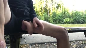 So Horny Had To Stop On The Way And Jerk Off Twice