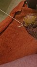 Master said wax my balls. Did he mean this?