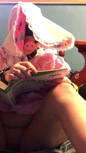 Baby Piglet Gets Belt, Does Homework