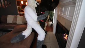 Fursuit sex 4