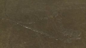 Kiera King Is A Doctor Who Wants To Give Black Cock A Thorough Physical