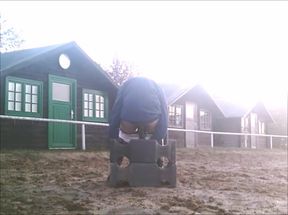 Dildo on the riding pad
