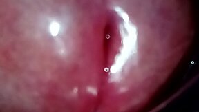 Uncut Cockhead Revealed: A Glistening Close-up of Foreskin and Precum Drops