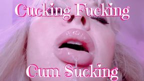 Cucking Fucking Cum Sucking - Taboo FemDomme Dirty Filth