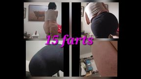 1:05 15 FARTS DONE RIGHT