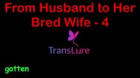 from husband to her bred wife – simulated pregnancy & full creampie surrender (taboo audio fantasy) - 4