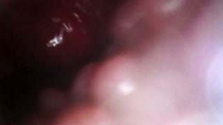 Creampie from the inside