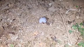 follamos en el huerto a escondidas de los jardineros