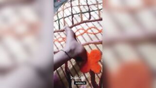 "Desirable Diva #137 - Indian Couple Exploring Taboo Sex"
