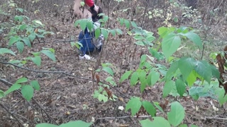 &nbsp;one girl pissed in the forest and how the second girl gave her cunnilingus