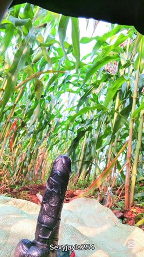 Riding Big Dildo Outdoors