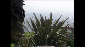 Tommi Rose: Hot and Eager to Be Banged Hard Outdoors