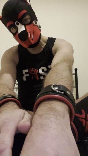 Gaping Gay Puppy Ass After Heavy Fisting Night