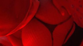 Slutty Black Blatina CDzinha Fills Her Latina Anal Hole with Pleasure