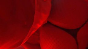 Slutty Black Blatina CDzinha Fills Her Latina Anal Hole with Pleasure