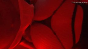 Slutty Black Blatina CDzinha Fills Her Latina Anal Hole with Pleasure