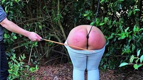 Taming a wild butt with plug, spanking, strap, wooden spoon, tazapper and cane