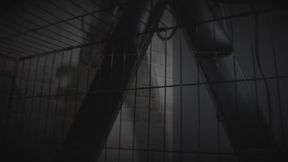 The Cage: Surrender