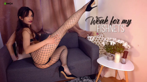 Weak For My Fishnets 4K