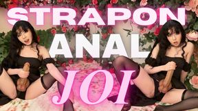 Anal JOI: 9 Inch Strapon Mutual Masturbation