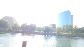 Pound Town