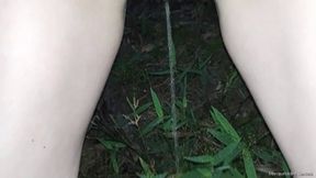 Watering the Plants 720p