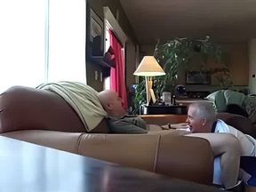 Silver Fox Servicer