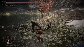 I solo'_d malenia but had a nude mod on so i couldn'_t upload it anywhere else