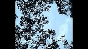 Un rapid&iacute_n con mi novia