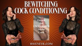 Bewitching Cock Conditioning - Encouraged Bi JOI Game