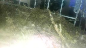 You are shoved into Giantess MXDominion's pet slaves ass colossal POV