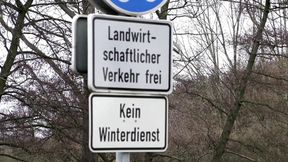 Brunette milf in a costume of a witch just been caught and fucked in the ass from a forest keeper