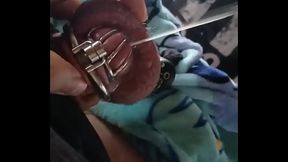 cage pup cuming hard