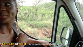 Nympho African Girlfriend Sucks My White Cock After Exotic Safari Date