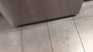 POV Power Pissing Compilation - 7 Minutes of Pee Heaven