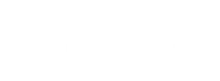 The bachelorette party the brides bodyguard