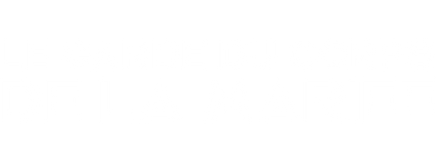 The bachelorette party the brides bodyguard