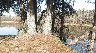 THA MOST FAMOUS BEACH IN AMERICA!