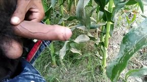 Indian Boy Masturbation and Cumshot Outdoor Handjob