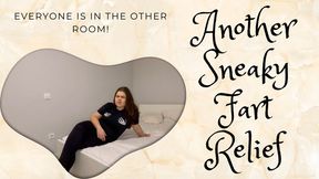 Another Sneaky Fart Relief