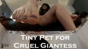 Tiny Pet for Cruel Giantess SD