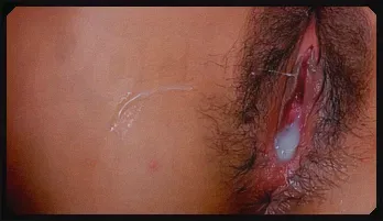 Yuzu Shiina pussy pounded and pussy creamed popular videos