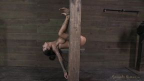 Banging beauty Bonnie Rotten gets tortured