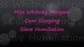 Miss Whitney Morgan: Cum Slurping Slave Humiliation - mp4