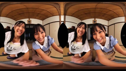 test-TMAVR-237(collection)-