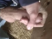 Barn Cum