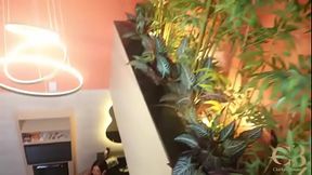 Shy Brazilian Inked MILF Enjoys BBC in Her Ass For the 1st Time